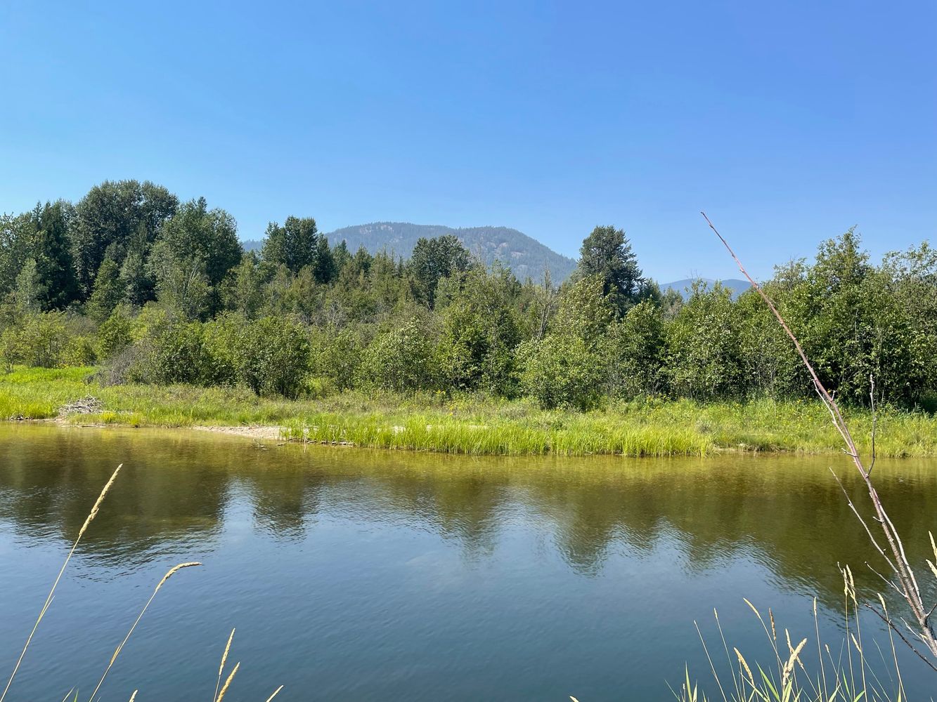 476910 Hwy 95, Ponderay, ID 83852
